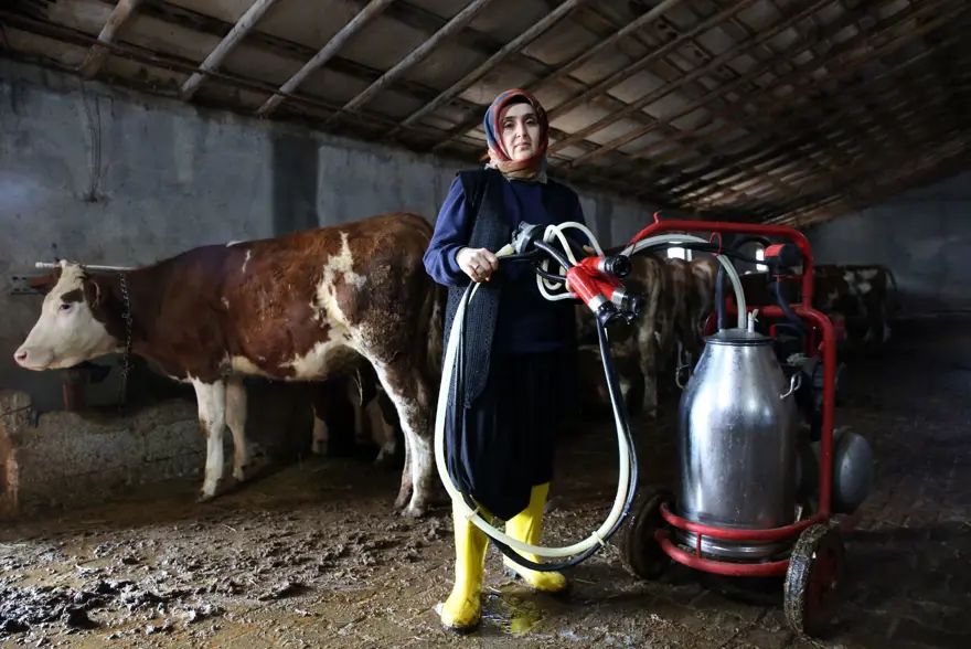 250 bin lira hibe desteğiyle 2 yılda 6'ya katladı: Üretip tüm ilçeye satıyorlar 6