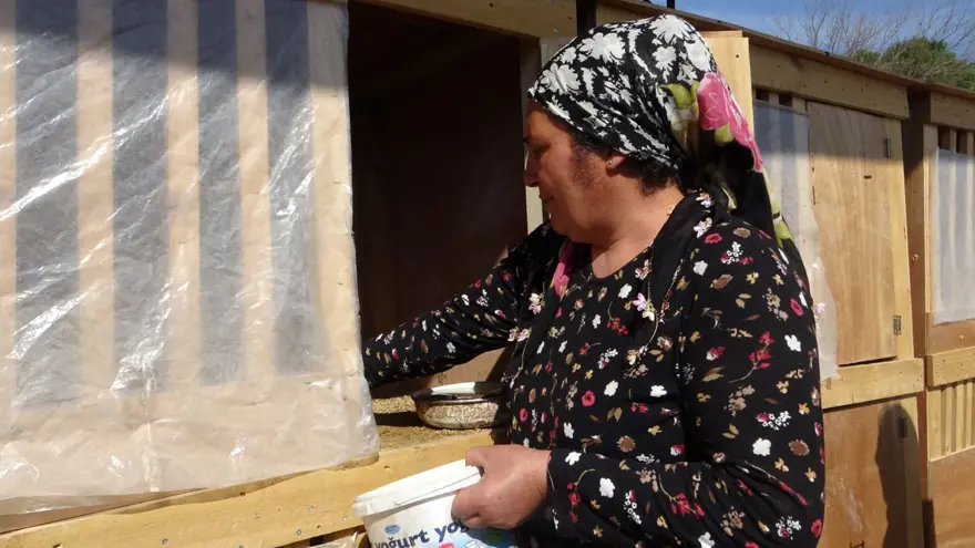 5 KUPALI GÜZELLİK YARIŞMASI BİRİNCİSİ HOROZ 8