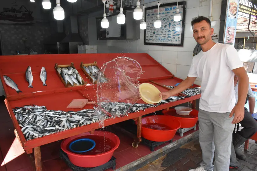 Bolluk fiyatlara yansıdı: Kilosu 200 liradan yoğun talep görüyor Bolluk fiyatlara yansıdı: Kilosu 200 liradan yoğun talep görüyor