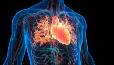 Kalp sağlığını iyileştirmenin yolları