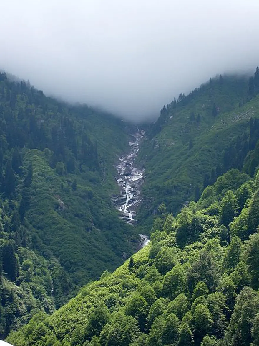 DOĞAL SERİNLİK: AYDER YAYLASI 35 DOĞAL SERİNLİK: AYDER YAYLASI 35