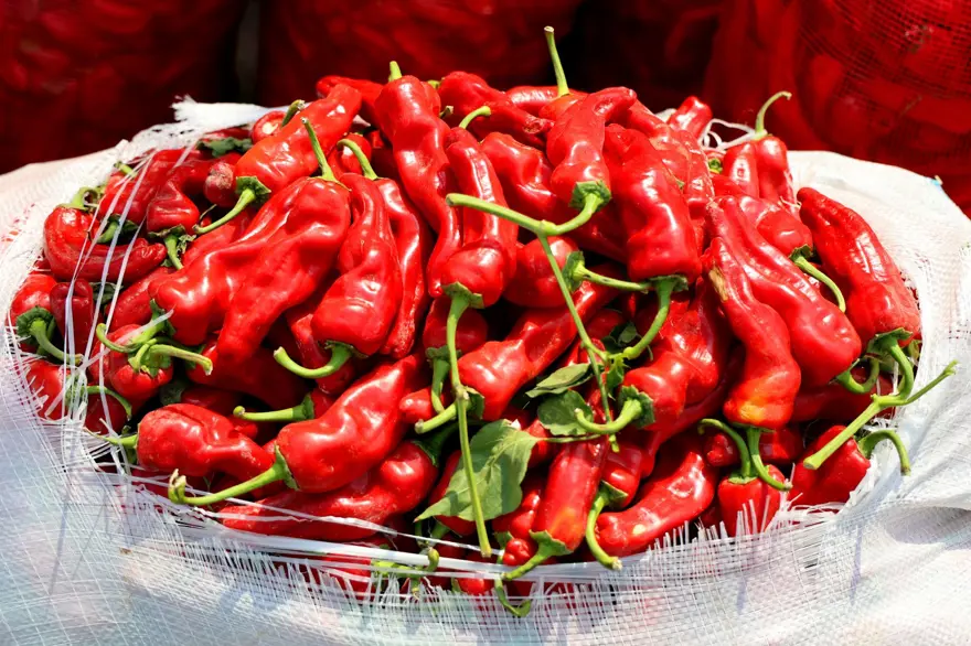 "BİBER GEÇEN YILDAN DAHA UCUZ" 3