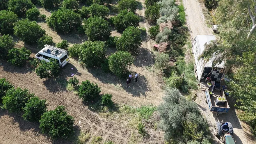 En ucuz meyve: 8 TL'ye kadar düştü 2