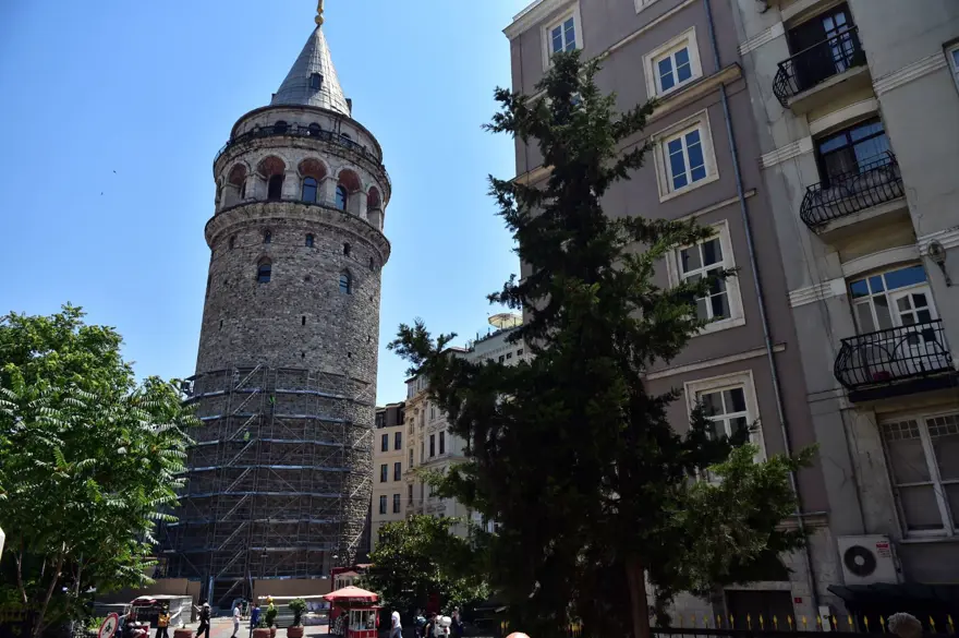 Galata Kulesi'nde restorasyon ebabil kuşlarının yuvaları nedeniyle ertelendi 7