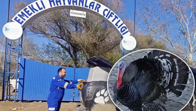 Osmaniye'de ilginç olay: Yılbaşında kesilmek yerine emekli edildi
