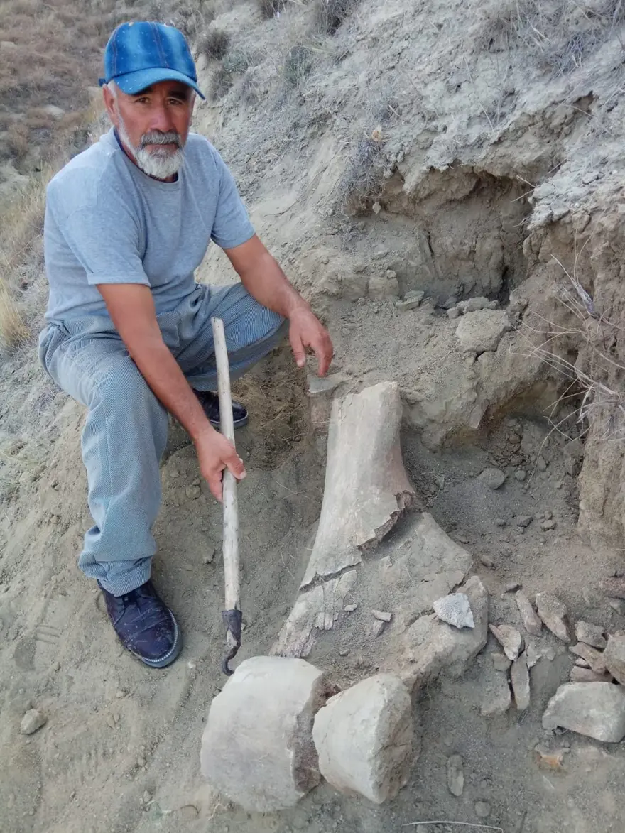 Amasya'da bulunan cisimler için mamut fosili heyecanı 9