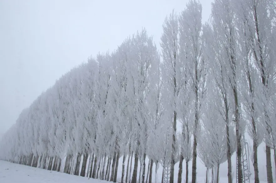 AĞRI’DA EKSİ 19 DERECE GÖRÜLDÜ 4