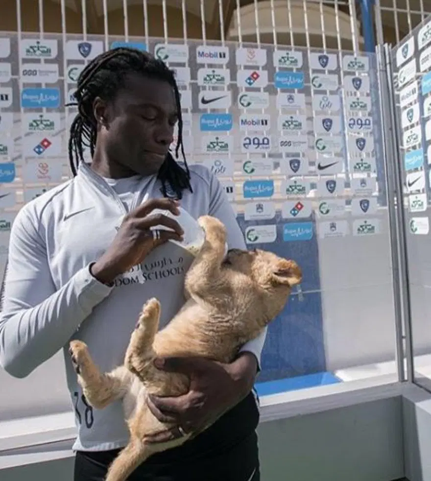 Gomis'ten G.Saray'ın rakiplerine mesaj: Aslan her zaman ormanların kralıdır 3 Gomis'ten G.Saray'ın rakiplerine mesaj: Aslan her zaman ormanların kralıdır 3