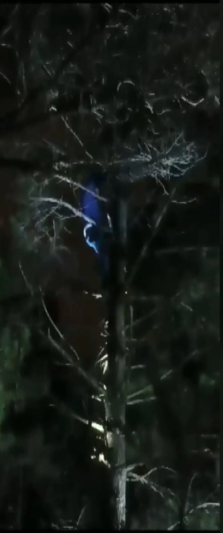 Marmaray saldırganından ağaçta taciz: Saldırıdan öncedefalarca evin önüne gelmiş 4