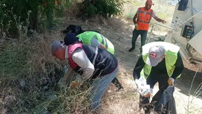 Hazar gölü etrafında 40 ton çöp toplandı