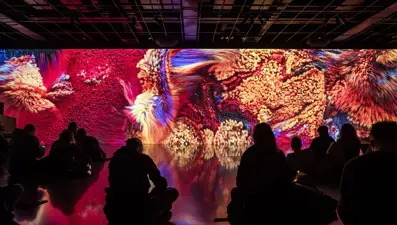 Çekya’da ışık festivali renkli görüntüler oluşturdu