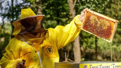 70 yaşındaki arıcı, trafik polisleriyle tartışınca üzerlerine arı saldı