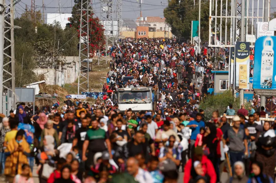 37 BEBEK NAKLEDİLECEK 4