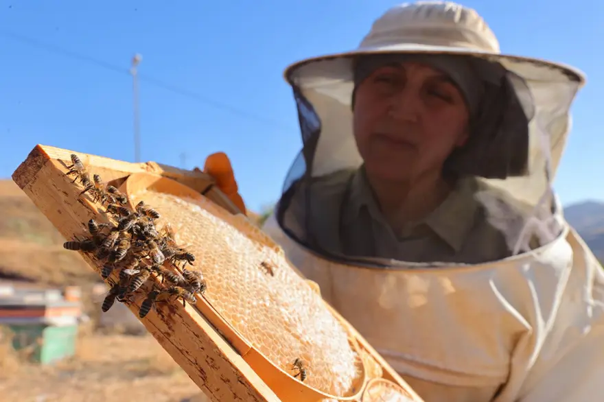 Şehirden köyüne döndü: Bu sezon 1 ton üretti 4