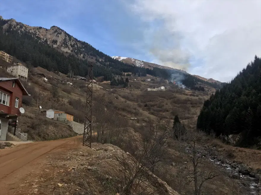 Rize'de Gölyayla köyünde çıkan yangına müdahale devam ediyor: 9 ev zarar gördü 9