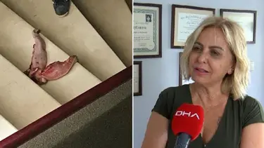 Profesörü 'dana dili' ile tehdit eden sanık için yakalama kararı