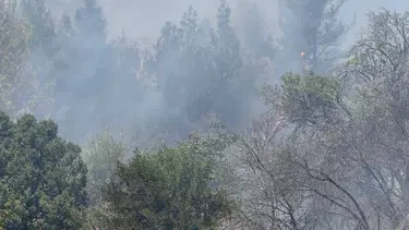 Denizli'de orman yangını