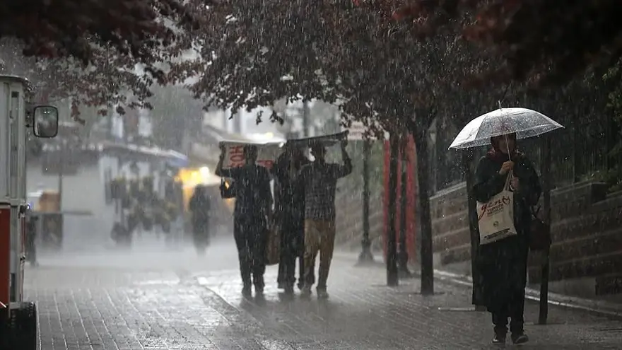 ORTA ve DOĞU KARADENİZ 8