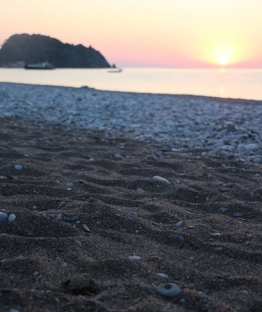 caretta caretta, carettaların denize yolculuğu, caretta mevsimi, yavru caretta 6