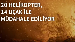 Marmaris'te orman yangını