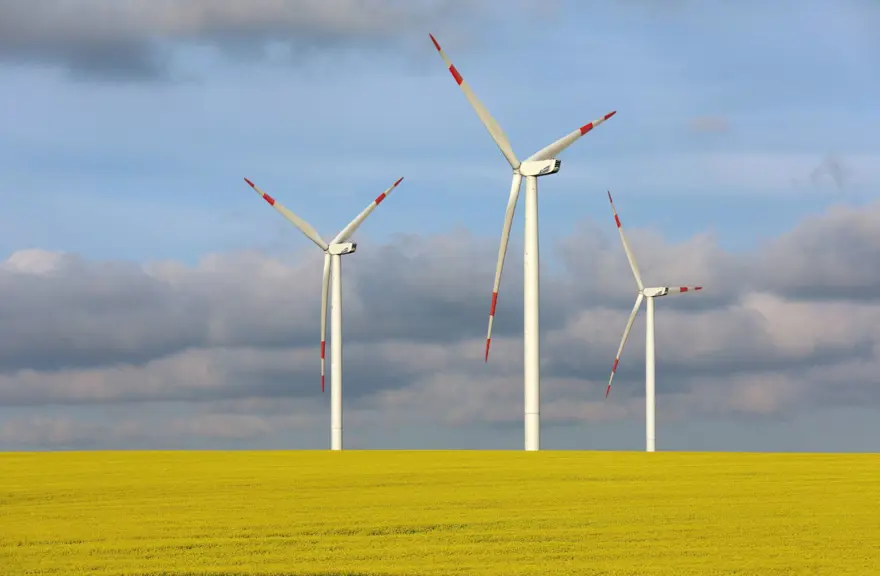 “Haydi! Yeşil Gelecekler” fotoğraf yarışmasının ödülleri açıklandı 14 “Haydi! Yeşil Gelecekler” fotoğraf yarışmasının ödülleri açıklandı 14