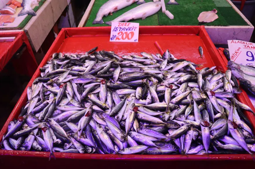 Geçen hafta 100 liraydı, fiyatı 2 katına çıktı: Hamsiyle aynı tezgahı paylaşıyor Geçen hafta 100 liraydı, fiyatı 2 katına çıktı: Hamsiyle aynı tezgahı paylaşıyor