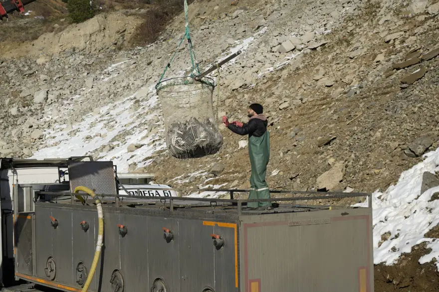 ''JAPONYA, ÇİN, ŞİLİ BALIĞI BİZDEN ALIYOR'' 4
