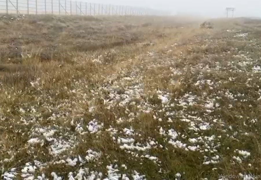 Ardahan'ın yüksek kesimlerinde kar yağışı