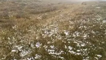 Ardahan'ın yüksek kesimlerinde kar yağışı