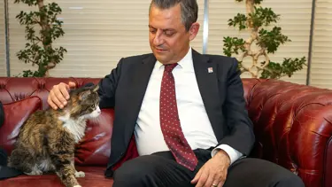 CHP'nin kedisi 'Şero' öldü