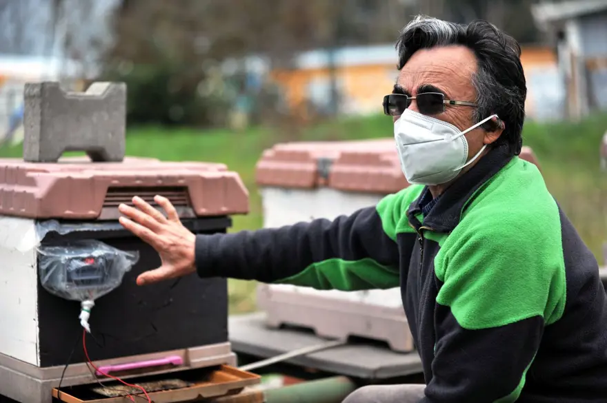 Gelmeyen bahar arı ölümlerini yüzde 70'e yükseltti 5