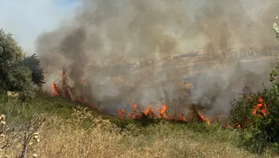 İstanbul'da otluk alanda yangın