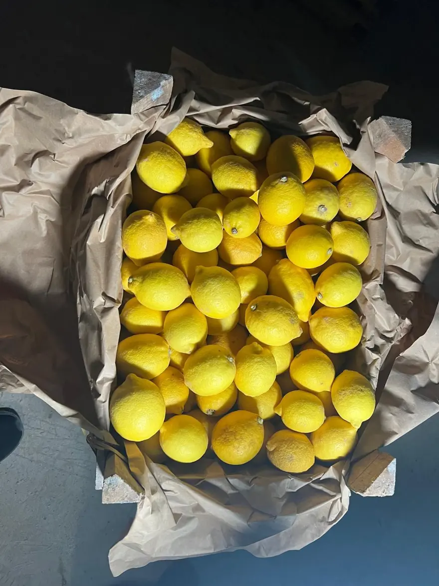 Kapadokya'da yer altındaki limon depolarında denetleme 4 Kapadokya'da yer altındaki limon depolarında denetleme 4