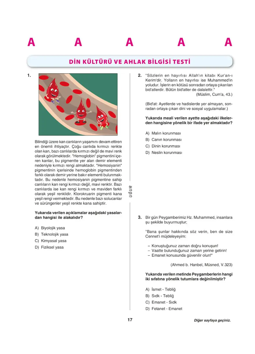 LGS deneme sınavı - Sözel bölüm 16