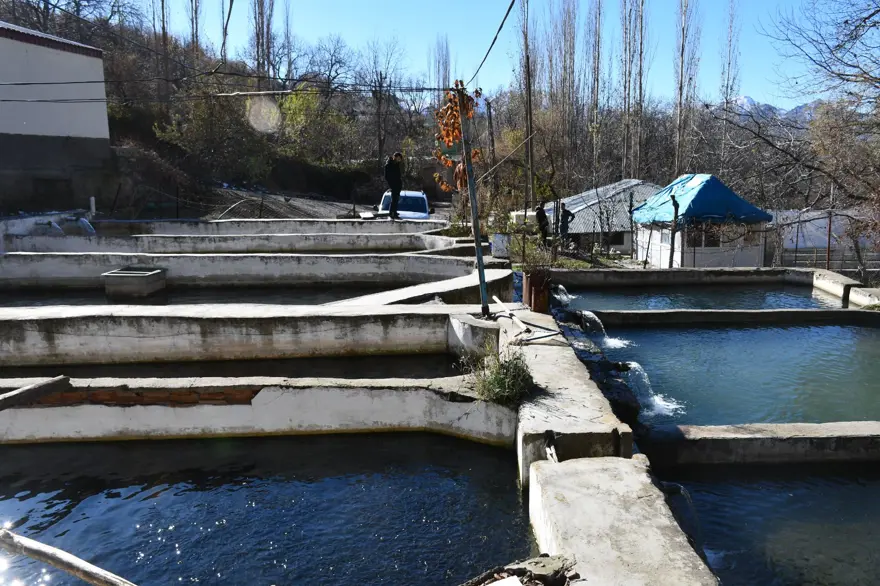 Sıfır noktasında 25 bin ton üretiyor: 5 aileye ekmek kapısı oluyor 4