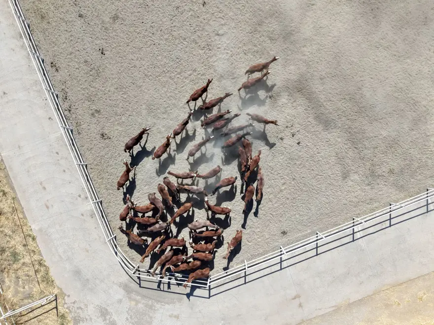 5 yılda 210 milyon lira gelir sağlandı: Açık artırmayla satışa çıkıyor 1