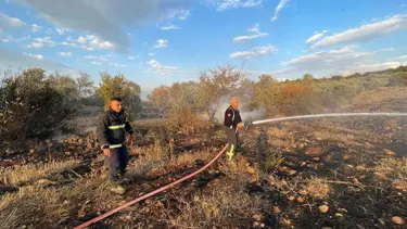 Hatay’da zeytinlikte yangın