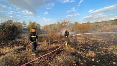 Hatay’da zeytinlikte yangın