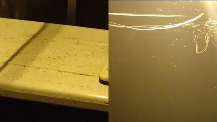 İstanbul'da "sivrisinek" tedirginliği 