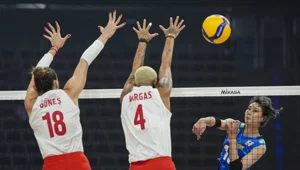 Filenin Sultanları'ndan çeyrek finalde veda Filenin Sultanları'ndan çeyrek finalde veda