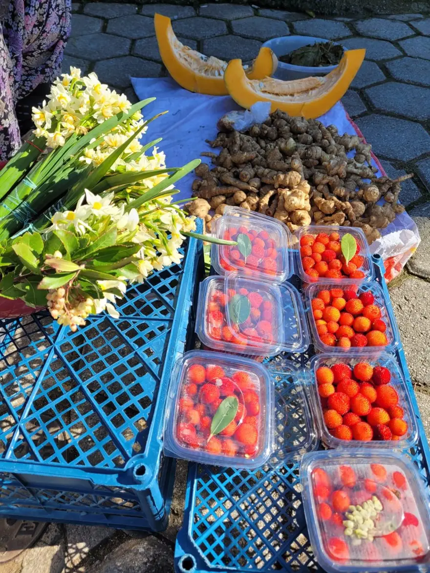 67 yaşında çalışmaktan vazgeçmiyor, paketini 70 liradan satıyor: Toplaması zahmetli ama tadı lezzetli 2