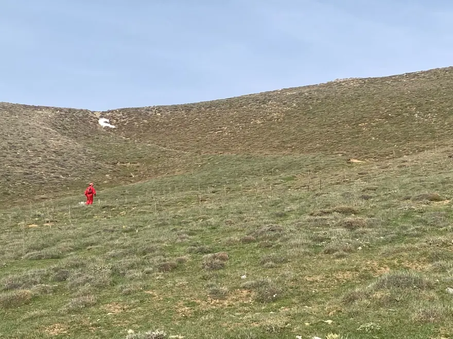 Yıldız Dağı'nda kaybolan emekli öğretim üyesi aranıyor 3 Yıldız Dağı'nda kaybolan emekli öğretim üyesi aranıyor 3