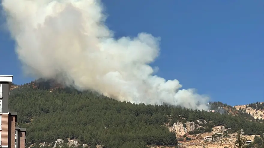 Kahramanmaraş'ta orman yangını 7