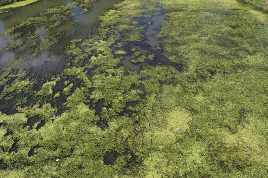 Tunca Nehri’nde debi düştü, çöpler ortaya çıktı 3 Tunca Nehri’nde debi düştü, çöpler ortaya çıktı 3