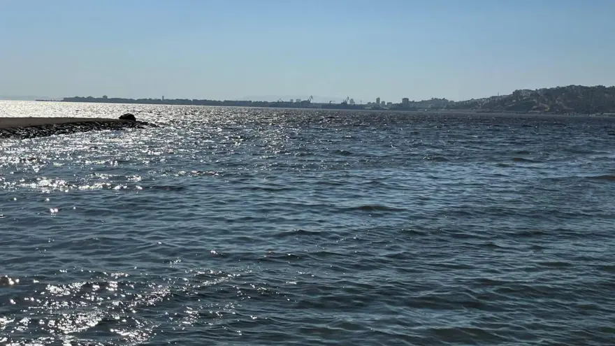 Kötü koku İzmir'i sardı, nedeni belli oldu 