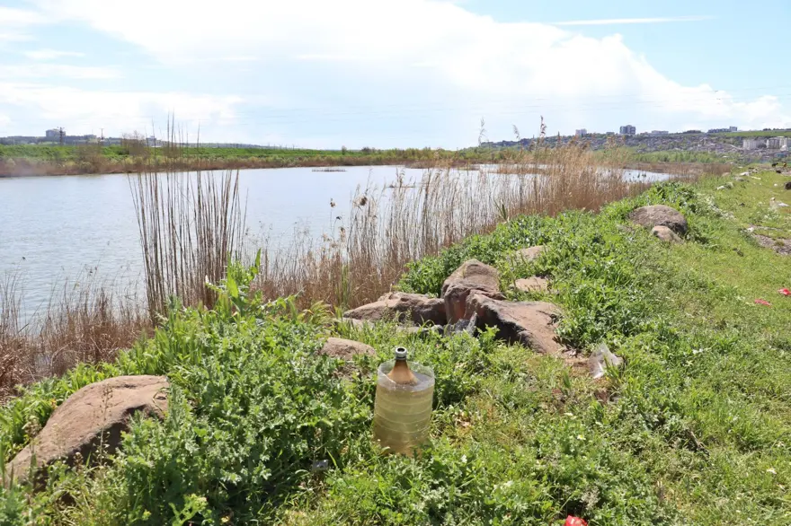 Piknikçiler Dicle Nehri kıyısını çöplüğe çevirdi: Su kuşlarıtehdit altında 