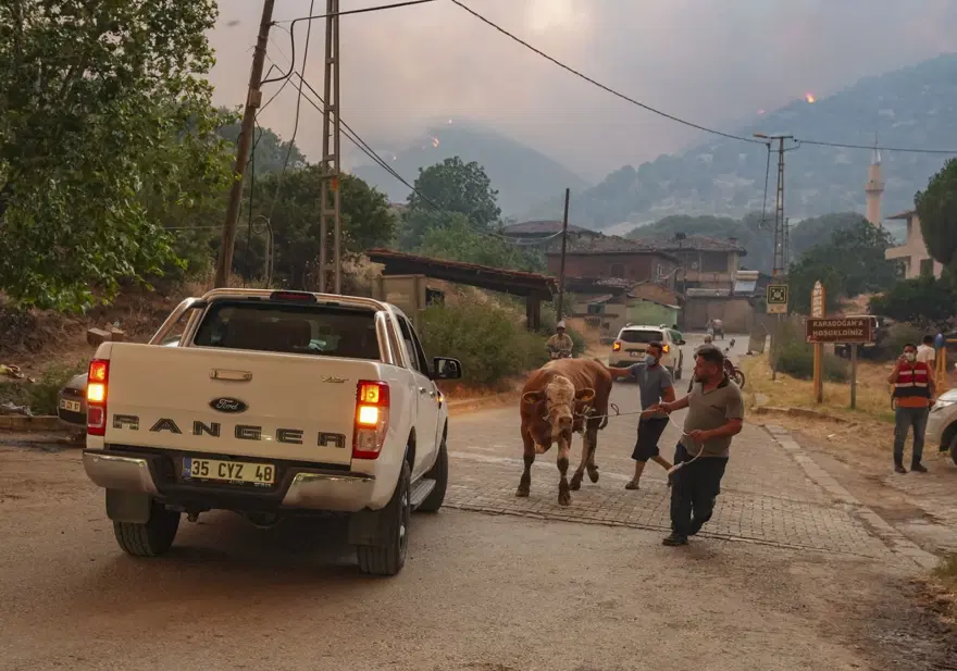 Ödemiş'te kahreden fotoğraflar: Alevlerden kaçış 8 Ödemiş'te kahreden fotoğraflar: Alevlerden kaçış 8