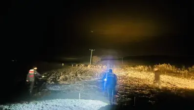 Kaybolan hayvanlar jandarma operasyonuyla bulundu