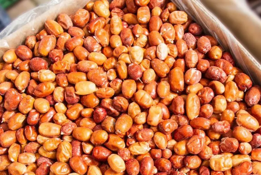 Türkiye'nin her yerinde doğal olarak yetişiyor! Kan şekerini dengeleyip kalbi ve damarları koruyor: Potasyum ve kalsiyum zengini 4 Türkiye'nin her yerinde doğal olarak yetişiyor! Kan şekerini dengeleyip kalbi ve damarları koruyor: Potasyum ve kalsiyum zengini 4