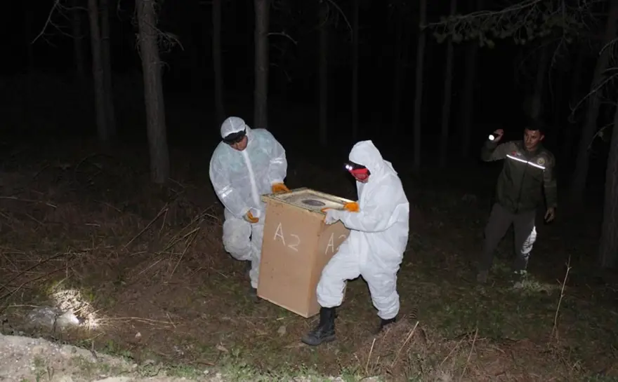 NAKİL 3 SAAT SÜRDÜ 3